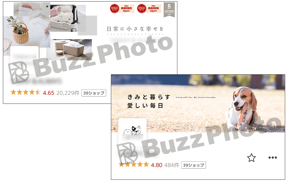 BuzzPhoto運営会社のECサイトイメージ画像